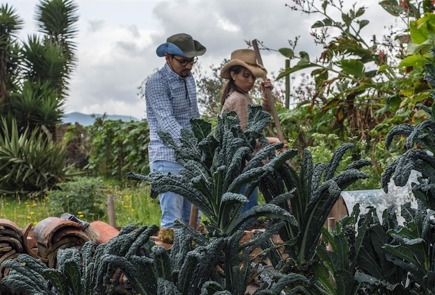 Focus on garden plant while a couple of man and woman working in the background