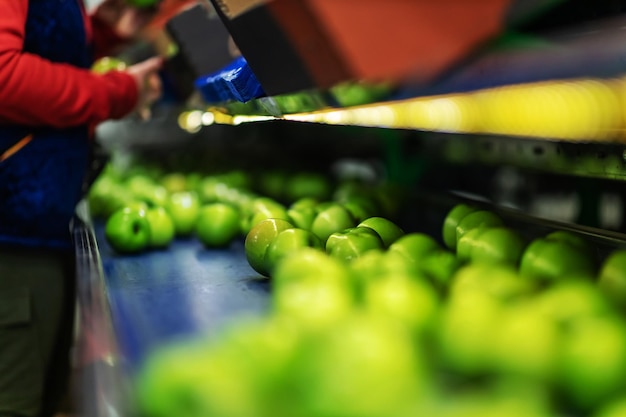 Focus is on a few apples on the production line