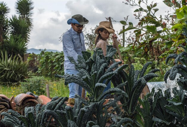 Focus op tuinplant terwijl een paar man en vrouw op de achtergrond werken