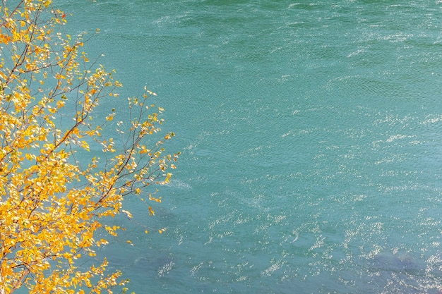 Сосредоточьтесь на желтой листве на переднем плане на синем фоне быстрой горной реки, выборочный фокус