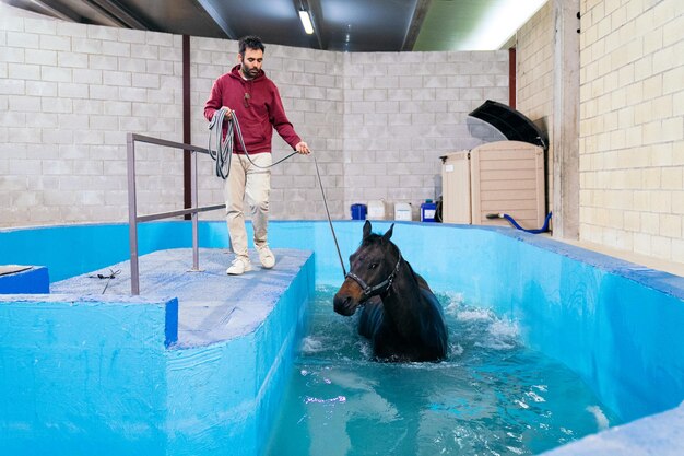 A focused caretaker guides a swimming horse in a therapeutic pool providing