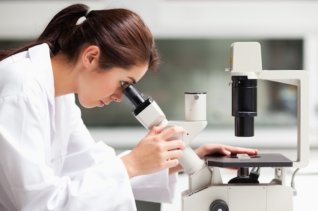 顕微鏡で見ている女性科学学生に焦点を当て