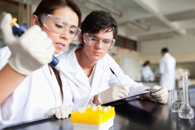 Focused scientists making an experiment