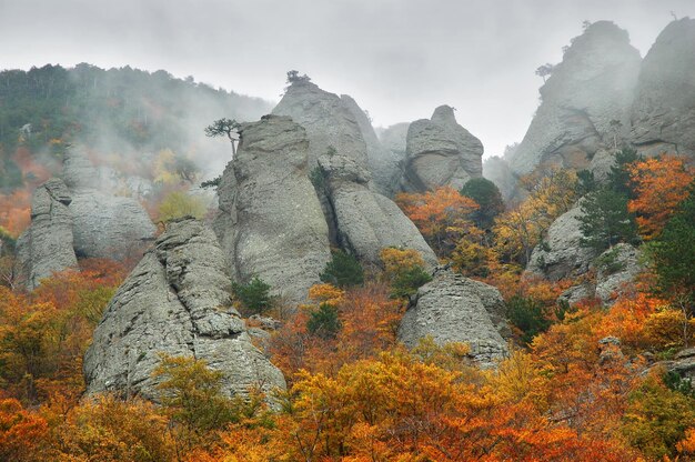 Foto nebbia montagne autunnali