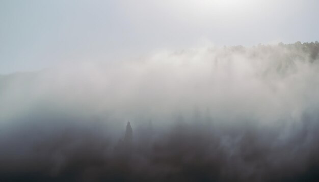 Foto trama di sfondo nebbia