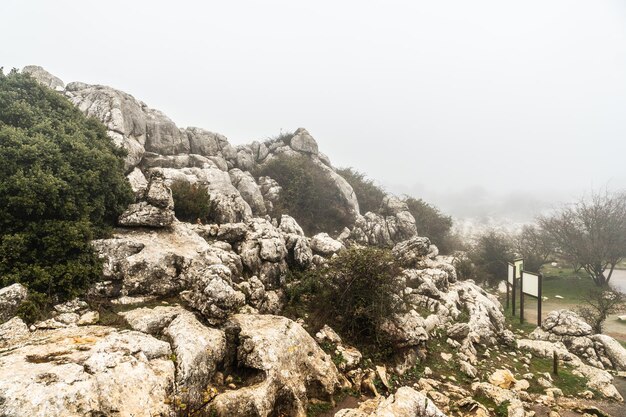 El Torcal de Antequera, Antequera 및 Villanueva de la ConcepciÃ³n의 시정촌에서 흔적의 시작 부분에 안개. 말라가, 안달루시아