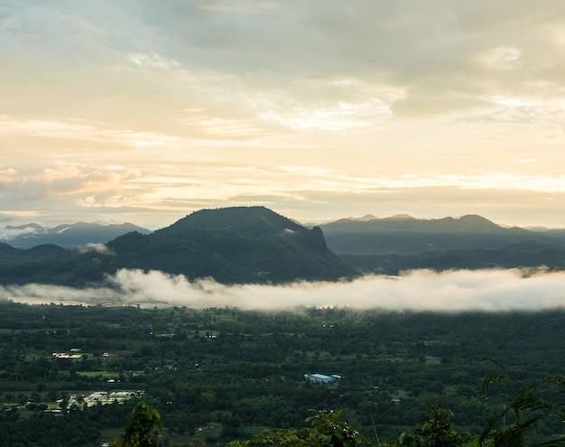 Fog and cloud mountain