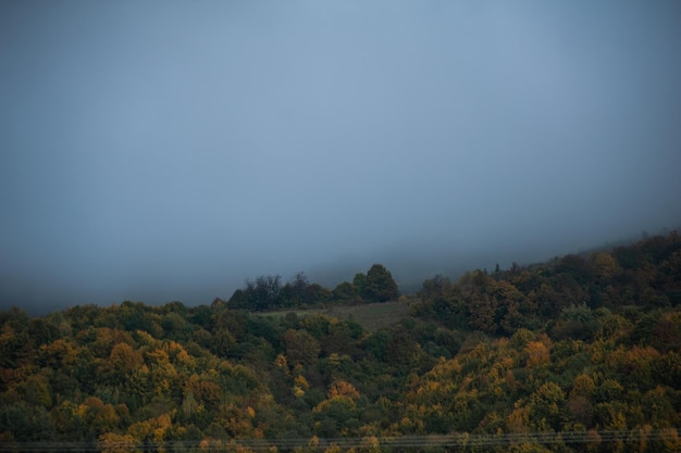 山の森の霧と雲