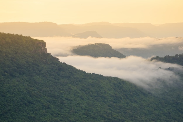 Fog Cover Mountains