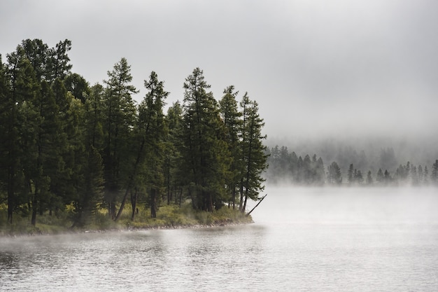 Foresta coperta di nebbia sulla riva di un lago di montagna nel distretto di ulagansky della repubblica di altai, russia