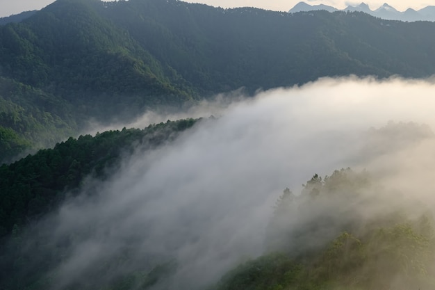 写真 霧に覆われた山々と金色に輝く太陽の光