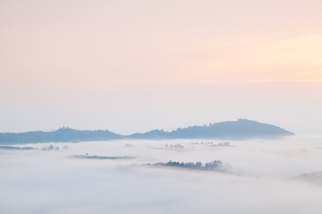 안개 덮힌 산과 나무