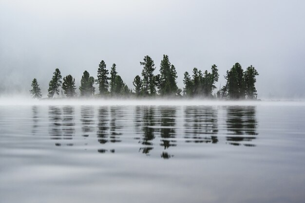 Alberi coperti di nebbia sulla riva di un lago di montagna si riflettono nell'acqua nel distretto di ulagansky della repubblica di altai, russia