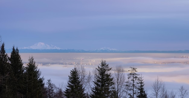 Fog Covering the Modern City during winter sunset twilight