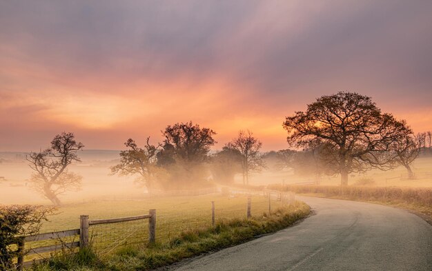 Fog covering the trees captured from the winding road