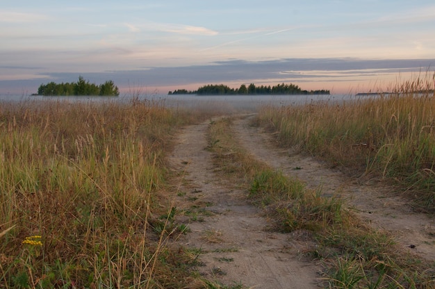 Fog over a field road and dry grass in the early September morning