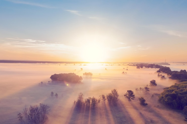 Photo fog over the field with trees at sunrise