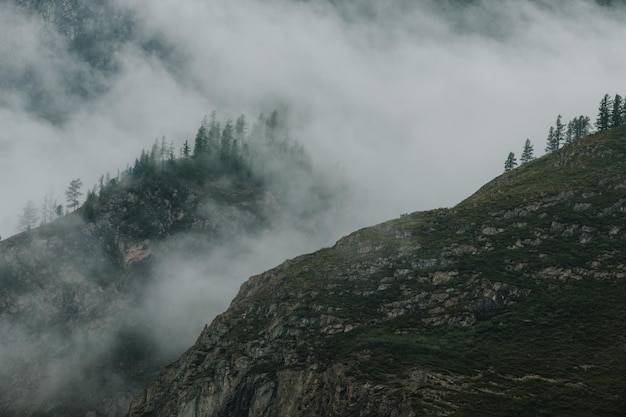 La nebbia galleggia sulle conifere e sulle scogliere dei monti altai