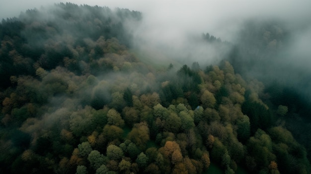 Fog in forest aerial view Generative AI