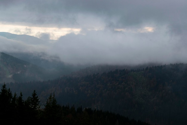 Fog over the forest of the Carpathian mountains