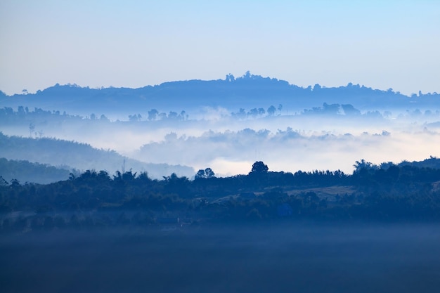 Fog in forest at Khaokho PhetchabunThailand