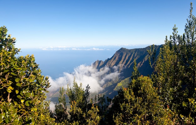 Kalalau 계곡 카우아이에 안개 형성