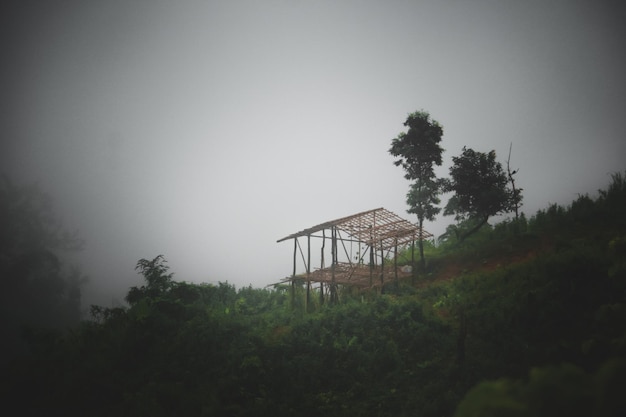 Foto la nebbia dell'illusione