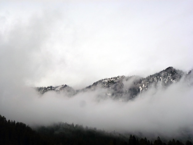 Foto la nebbia striscia sulla catena montuosa un panorama pittoresco di natura selvaggia