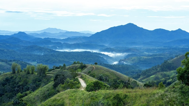 Fog in the montains in the morning