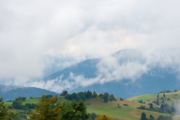 Fog in morning on the mountains. Forest, nature.