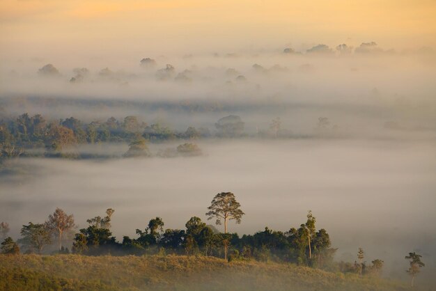 Khao Takhian Ngo View Point Khaokho PhetchabunThailand의 아침 일출 안개