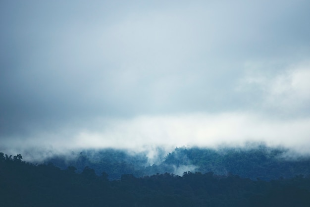 タイの熱帯林の山の上の霧。