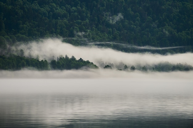 Photo fog in the mountain valley. morning fog over the lake in the altai mountains.