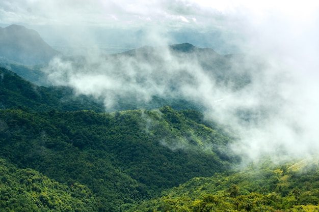 Photo fog and mountains that care for the season of lonely people, day of the festival