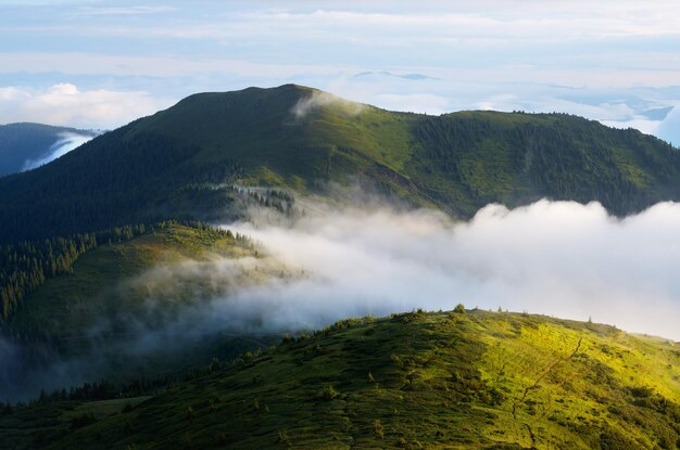 Fog in the mountains