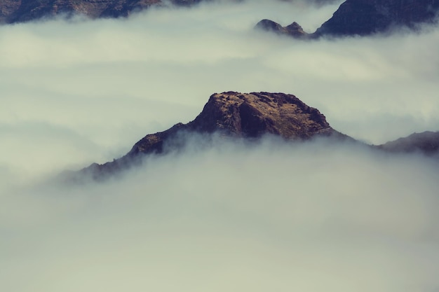 Fog in mountains