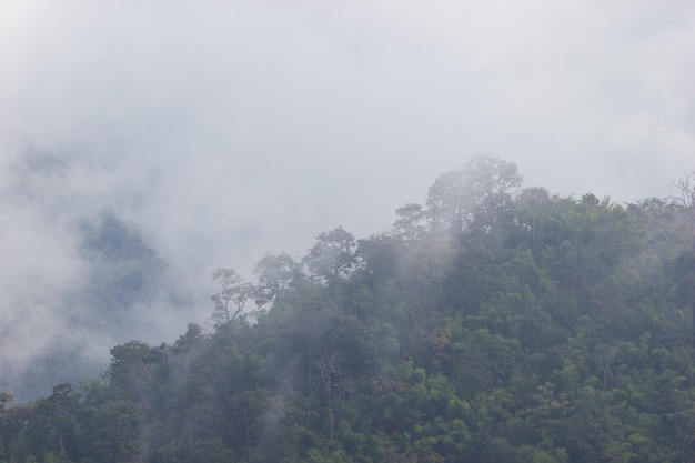 The fog moves along the mountains in the morning winter season.