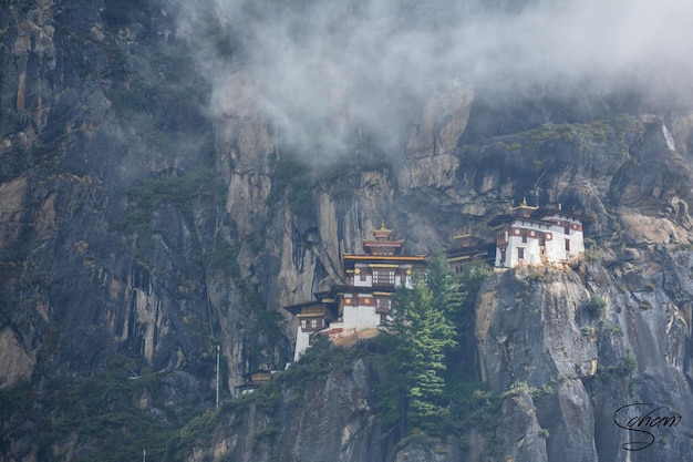 fog outdoors greenery hills bright mountains