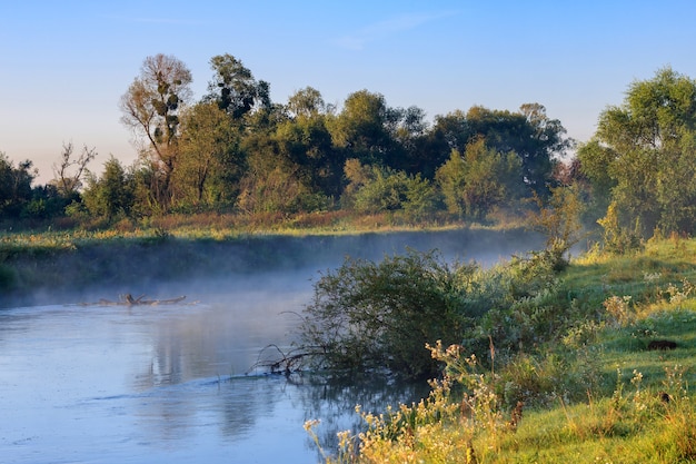 Photo fog above the river surface at sunrise in summer morning. river landscape