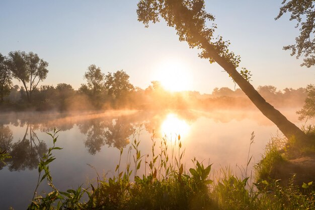 Fog on the river