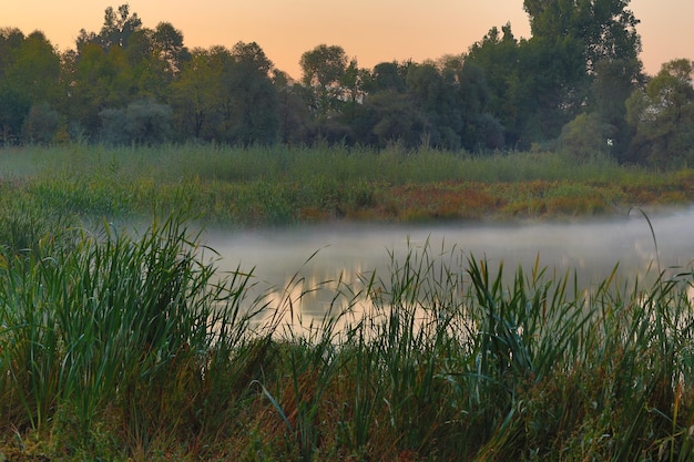 fog over the river