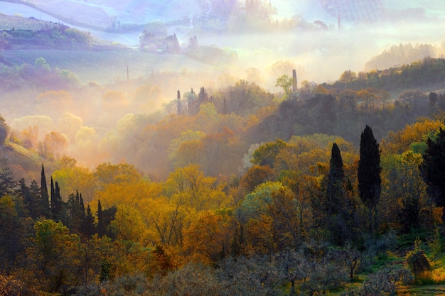 Fog and typical Tuscan landscape