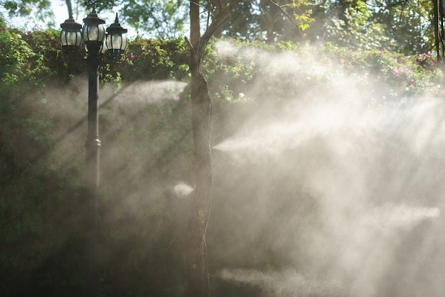 Configurazione dell'ugello di nebulizzazione dell'acqua sull'albero per l'impianto di irrigazione