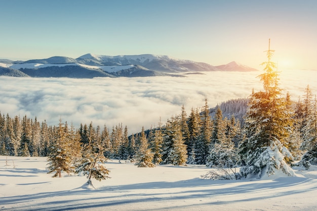 Fog in winter mountains. Fantastic sunset