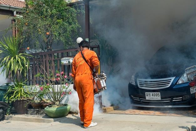 Fogging DDT spray kill mosquito