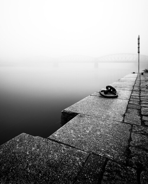 Foggy autumn mood at Vltava river Detail of riverbank Black and white atmosphere Prague Czech republic