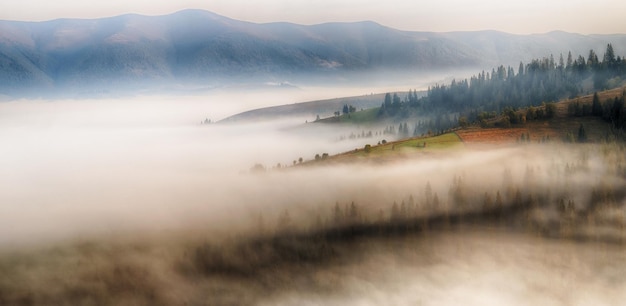 Carpathian 산에서 안개가 자욱한 가을 아침