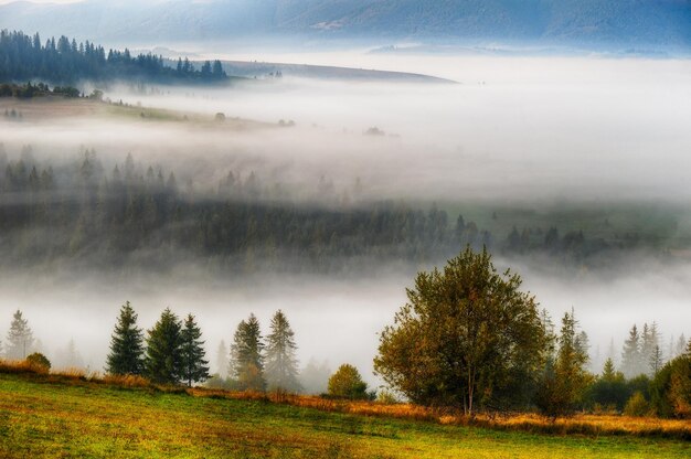 foggy autumn morning in the Carpathian mountains