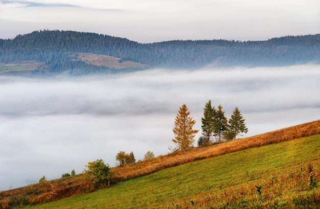 Carpathian 산에서 안개가 자욱한 가을 아침