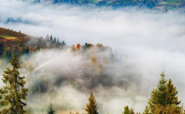 Carpathian 산에서 안개가 자욱한 가을 아침